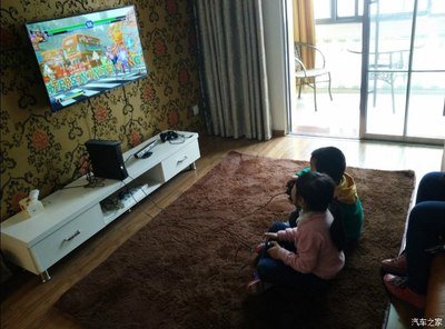 适合家庭游戏的项目有哪些